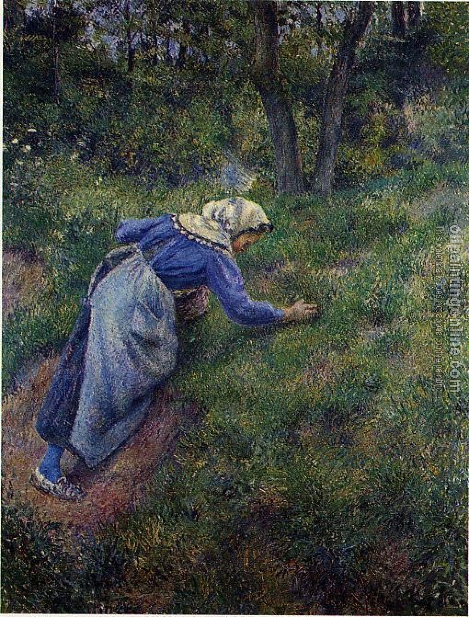 Pissarro, Camille - Peasant Gathering Grass